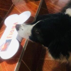 Ancheta Fiona