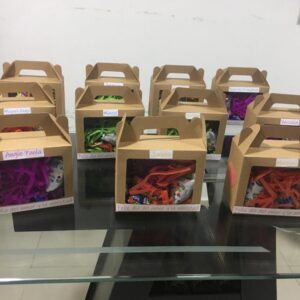 Ancheta Personalizada