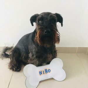 Ancheta Niño